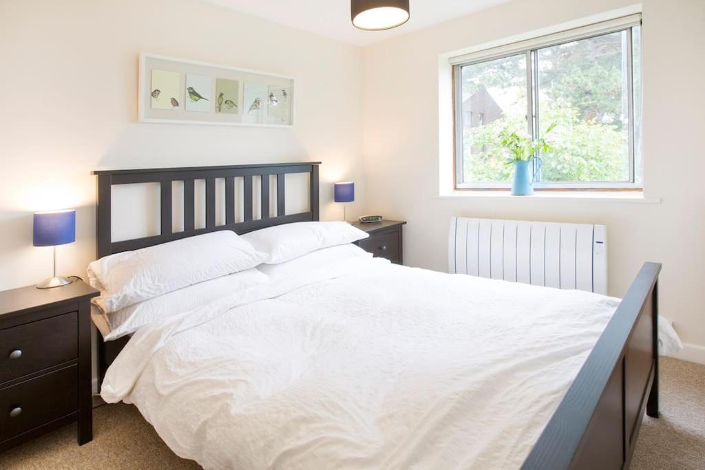 Bright Oxford Apartment Eksteriør billede